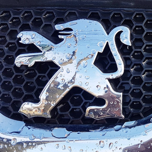 Peugeot Promo Pack Gusci Chiavi Auto
